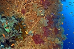 16023026745_c881b9051a_o