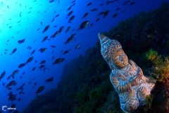 17132968478_b184fa5ef1_o