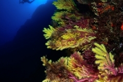 DSC_4644editedsigned