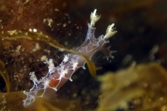 14153238805_ff514aa018_o