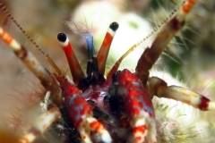 14452294426_7cb9943d88_o