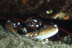 14452298456_835a2eee5f_o