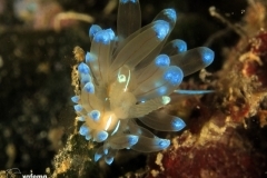 9001943934_428ba8a40c_o