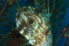 8613100691_04a8675e76_o