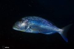 9761024714_e1a7517311_o