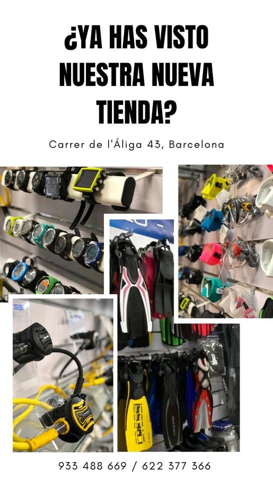 Tienda Nautilus Dive Center Fotosub by xafema